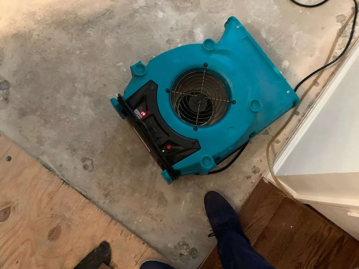 Air mover drying subfloor during Leak Detection & Repair in Bethel